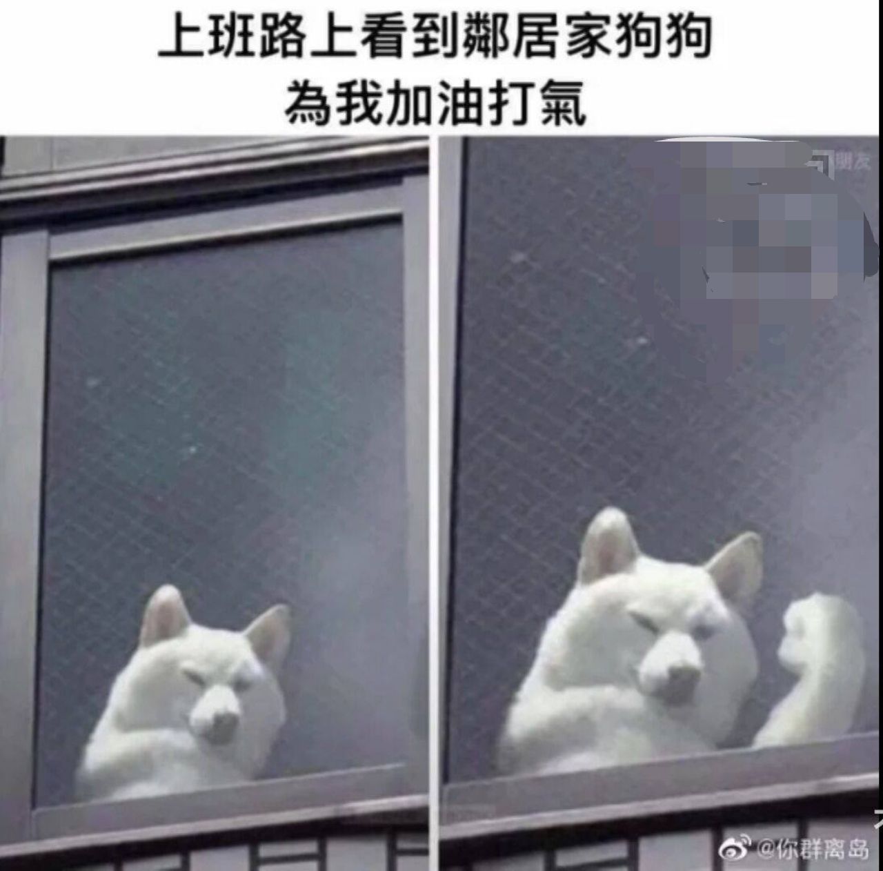 轻松一刻:如此特色的酒店,你能受得了吗? 轻松一刻:如此特色的酒店,你能受得了吗?