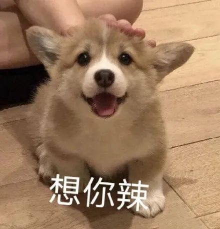 这件事情,我研究了整整三年… | 段子 这件事情,我研究了整整三年… | 段子