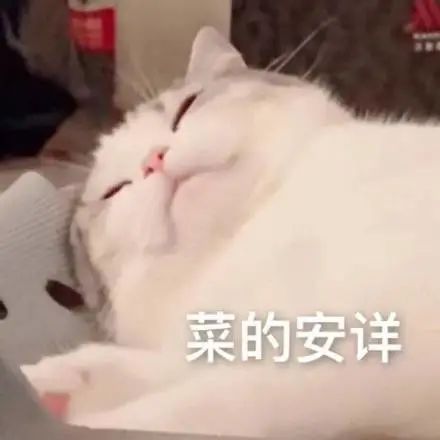 这件事情,我研究了整整三年… | 段子 这件事情,我研究了整整三年… | 段子