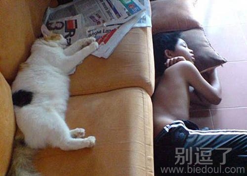 这就是传说中的最佳主人 这就是传说中的最佳主人