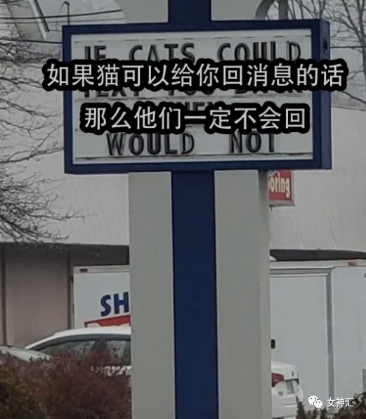 不要轻易相信网红发的美腿照,否则...网友:这腿超过2米了吧?! 不要轻易相信网红发的美腿照,否则...网友:这腿超过2米了吧?!