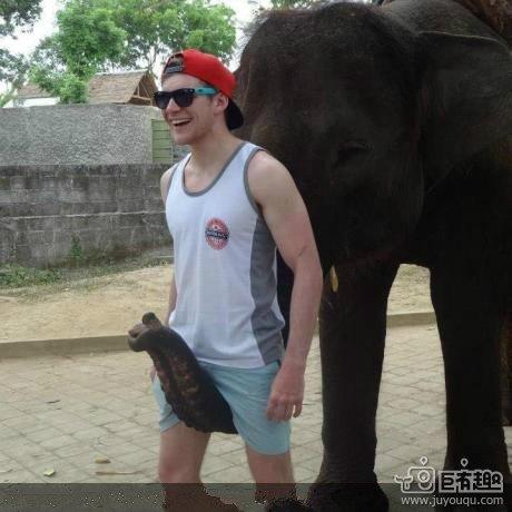 大象 大象 好大的大象 大象 大象 好大的大象