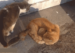 你大爷的，又不是我打你的