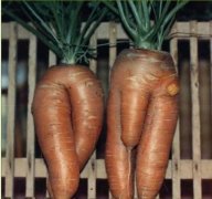 夫妻档2 夫妻档2