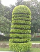 闷骚的园艺师 闷骚的园艺师