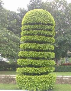 闷骚的园艺师 闷骚的园艺师