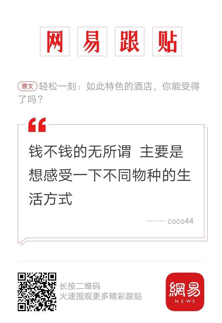 轻松一刻:2022年最奇葩嫌疑人,已经提前锁定了 轻松一刻:2022年最奇葩嫌疑人,已经提前锁定了