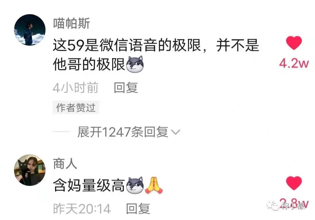 轻松一刻:2022年最奇葩嫌疑人,已经提前锁定了 轻松一刻:2022年最奇葩嫌疑人,已经提前锁定了
