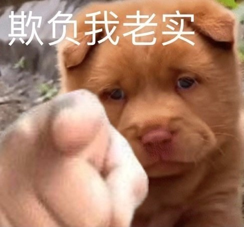 轻松一刻:2022年最奇葩嫌疑人,已经提前锁定了 轻松一刻:2022年最奇葩嫌疑人,已经提前锁定了