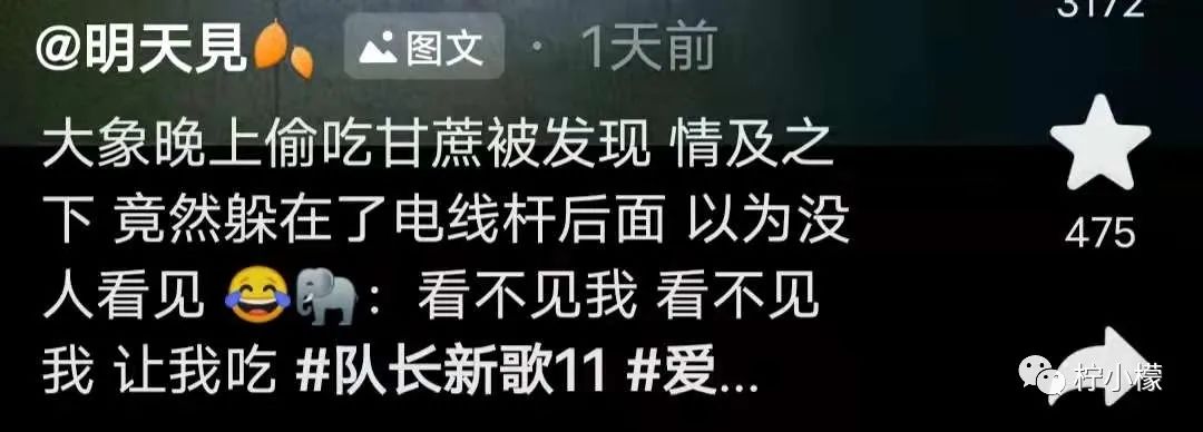 “婚礼结束当晚都做了什么...”哈哈哈沙雕网友评论是能免费听的？！