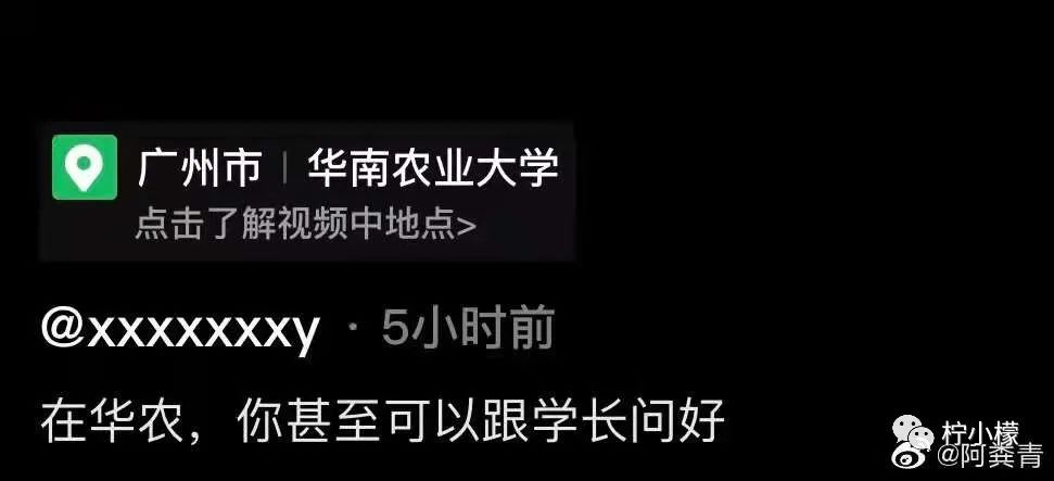 “婚礼结束当晚都做了什么...”哈哈哈沙雕网友评论是能免费听的？！