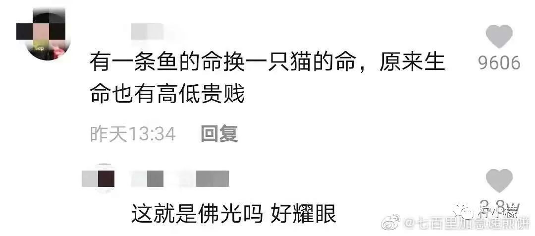 “婚礼结束当晚都做了什么...”哈哈哈沙雕网友评论是能免费听的？！