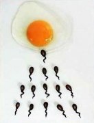 小蝌蚪找爸爸啦 ！