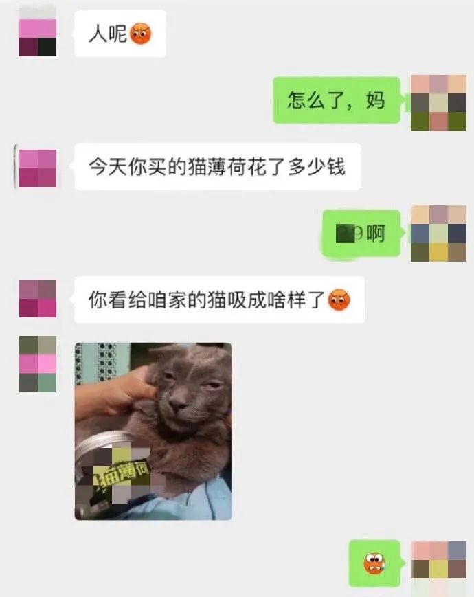 “当男票用心敷衍你的时候..”哈哈哈哈哈哈哈哈笑到发癫!