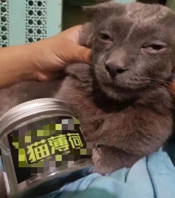 “当男票用心敷衍你的时候..”哈哈哈哈哈哈哈哈笑到发癫! “当男票用心敷衍你的时候..”哈哈哈哈哈哈哈哈笑到发癫!