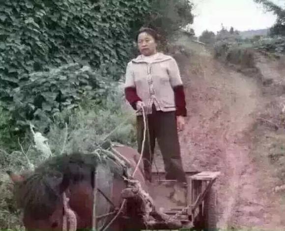 不知道因为啥把我屏蔽