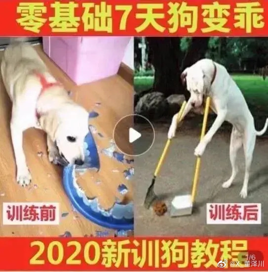 轻松一刻: 不是水不多,而是自由过了火! 轻松一刻: 不是水不多,而是自由过了火!