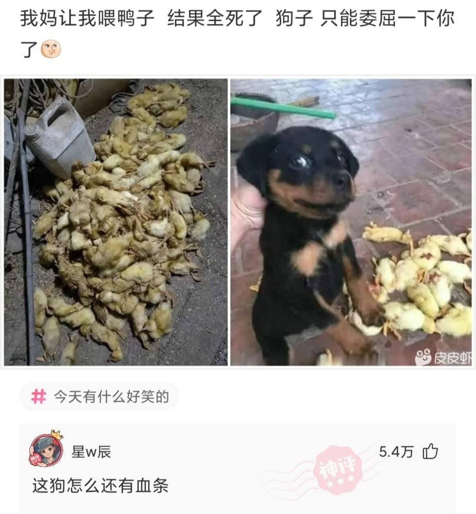 轻松一刻: 不是水不多,而是自由过了火! 轻松一刻: 不是水不多,而是自由过了火!