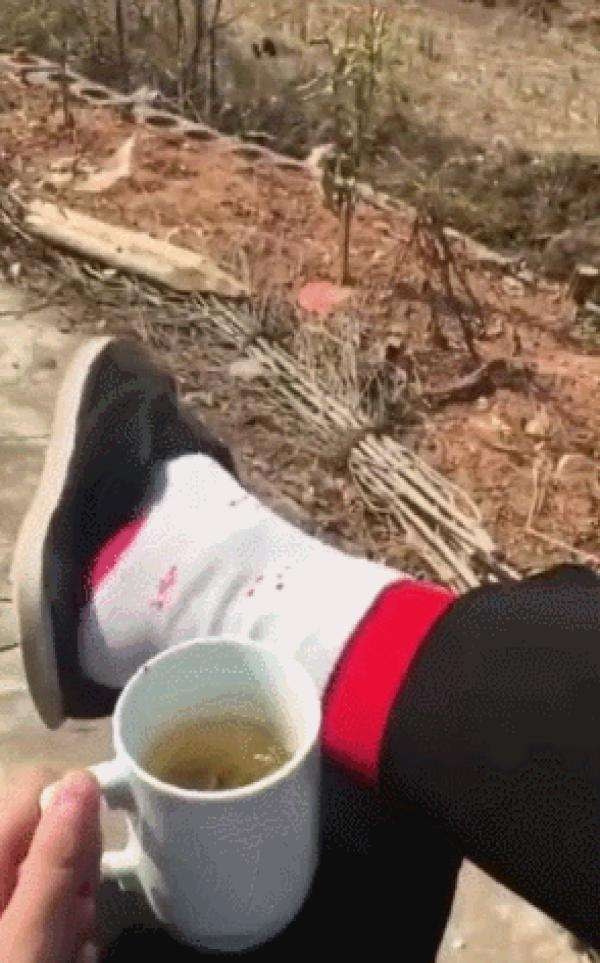 轻松一刻: 不是水不多,而是自由过了火! 轻松一刻: 不是水不多,而是自由过了火!
