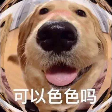 轻松一刻: 不是水不多,而是自由过了火! 轻松一刻: 不是水不多,而是自由过了火!