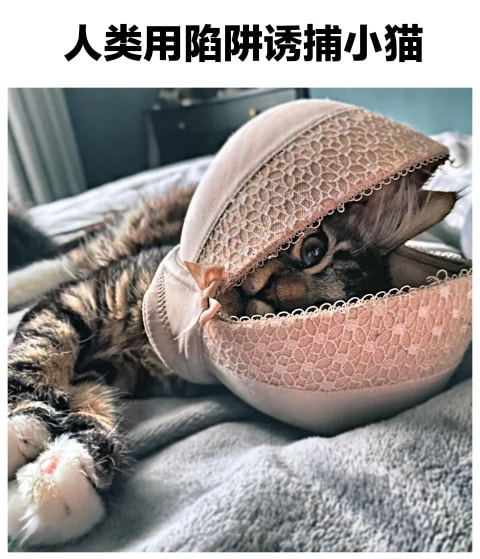 轻松一刻: 不是水不多,而是自由过了火! 轻松一刻: 不是水不多,而是自由过了火!