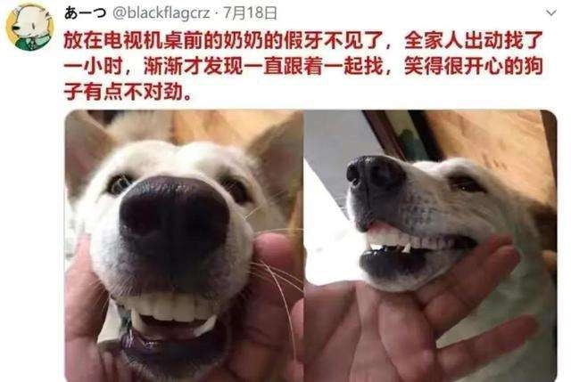 轻松一刻: 不是水不多,而是自由过了火! 轻松一刻: 不是水不多,而是自由过了火!