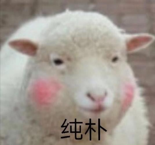 轻松一刻: 不是水不多,而是自由过了火! 轻松一刻: 不是水不多,而是自由过了火!