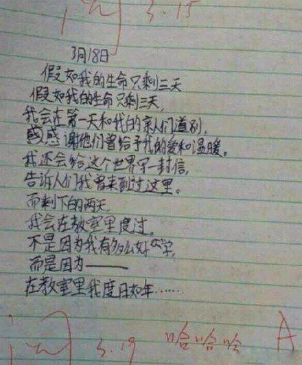 一个小学生的日记