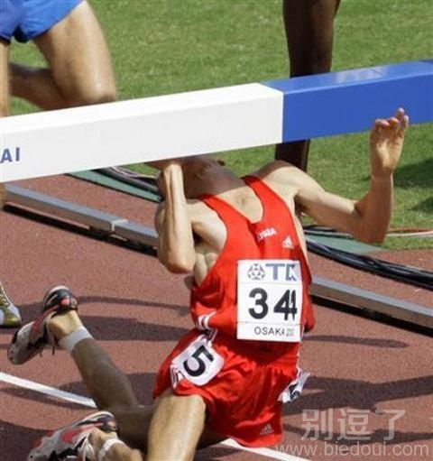 傻傻的分不清!!! 傻傻的分不清!!!