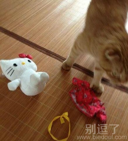 脱娃娃衣服的喵星人。 脱娃娃衣服的喵星人。