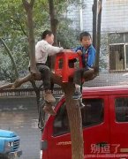 正在树上学习的学霸。