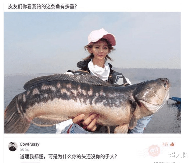 “在海鲜市场买了一斤虾,回家熟了一半...”哈哈哈热到窒息了! “在海鲜市场买了一斤虾,回家熟了一半...”哈哈哈热到窒息了!