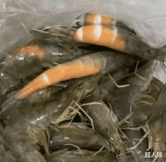 “在海鲜市场买了一斤虾,回家熟了一半...”哈哈哈热到窒息了! “在海鲜市场买了一斤虾,回家熟了一半...”哈哈哈热到窒息了!
