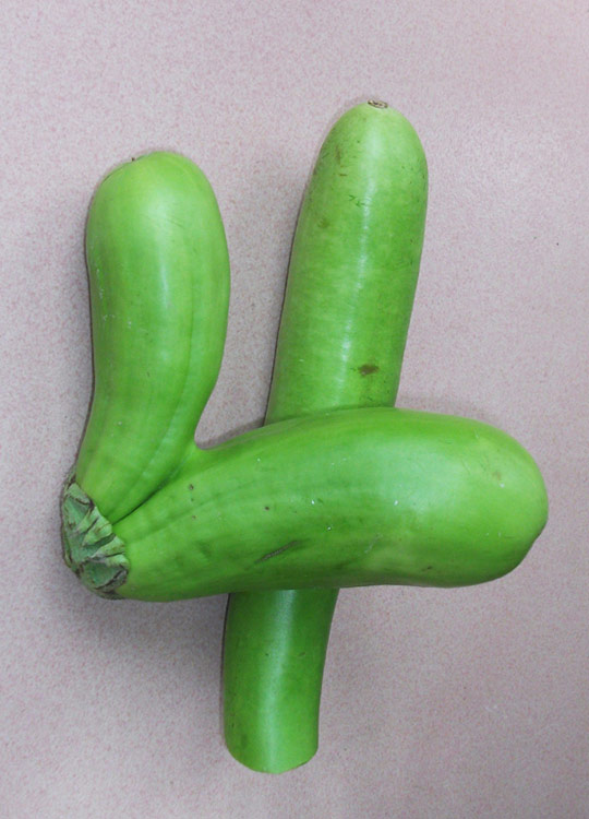 趣图：蔬菜步入数字时代--余跃军又一力作！