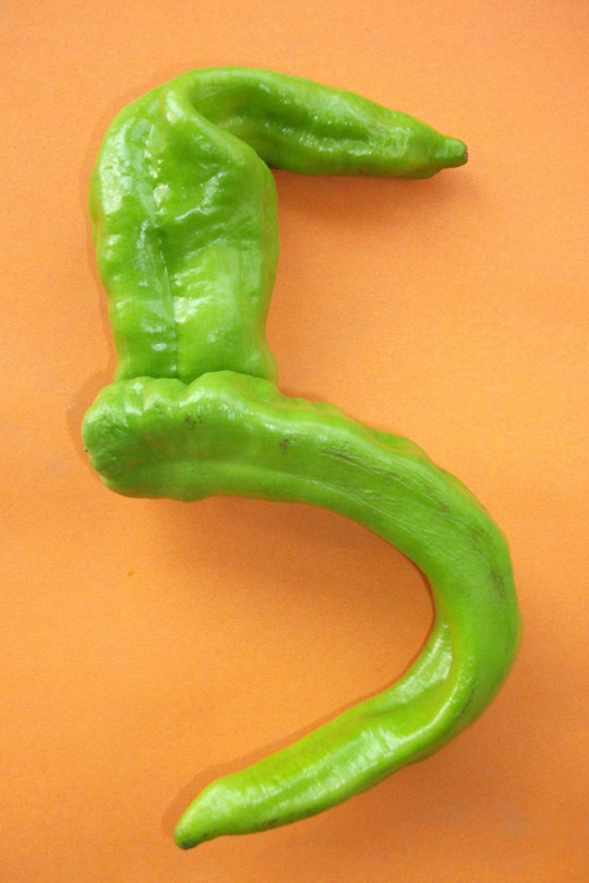 趣图：蔬菜步入数字时代--余跃军又一力作！