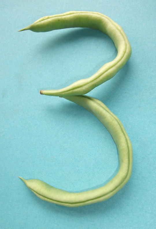 趣图：蔬菜步入数字时代--余跃军又一力作！