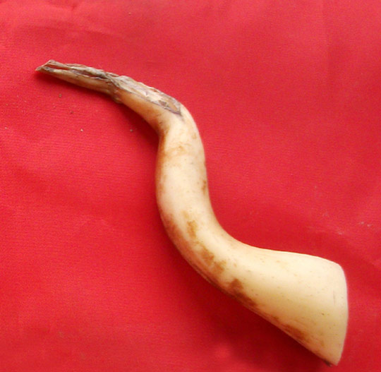 趣图：蔬菜步入数字时代--余跃军又一力作！