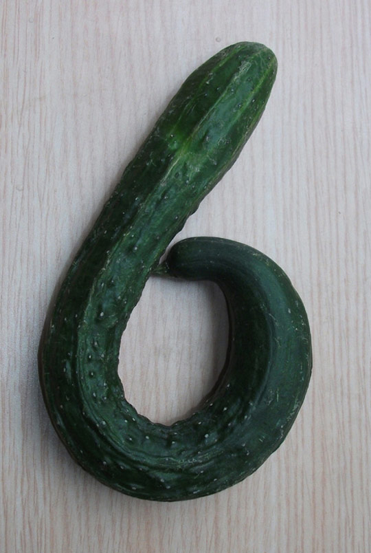 趣图：蔬菜步入数字时代--余跃军又一力作！