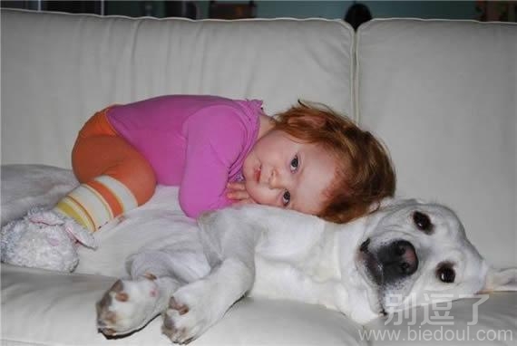 萌宝宝,萌狗狗,萌萌哒! 萌宝宝,萌狗狗,萌萌哒!