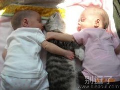 猫咪玩2P，都累坏了