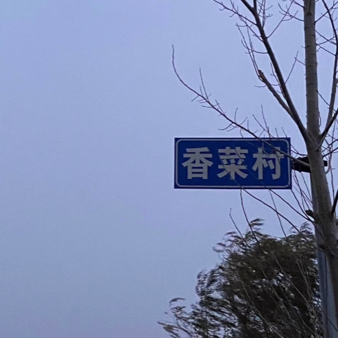 轻松一刻:今年的小目标是捡到1个亿! 轻松一刻:今年的小目标是捡到1个亿!