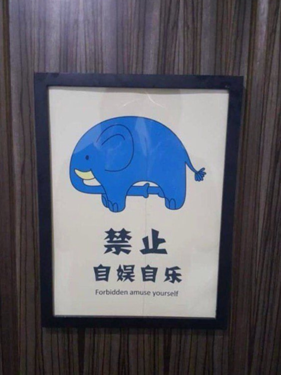 轻松一刻:今年的小目标是捡到1个亿! 轻松一刻:今年的小目标是捡到1个亿!