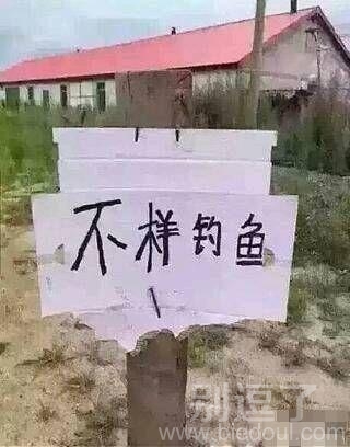 不是东北人根本看不懂 不是东北人根本看不懂