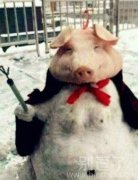 今天遇见大师级的了！其他雪人弱暴了！