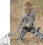 想象下一秒发生的事 想象下一秒发生的事