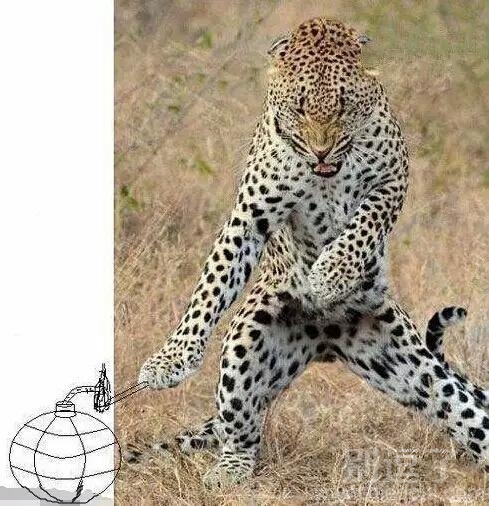 想象下一秒发生的事 想象下一秒发生的事