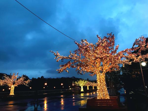 个子太矮有办法吗? 个子太矮有办法吗?