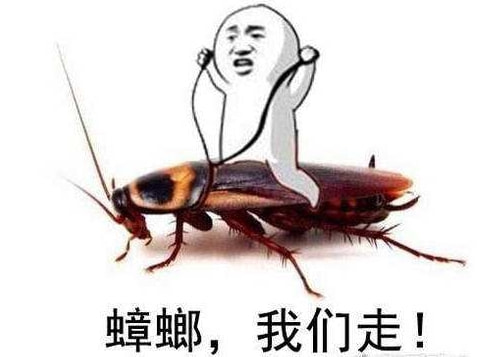 轻松一刻:急急急!男人的噩梦出现了!! 轻松一刻:急急急!男人的噩梦出现了!!