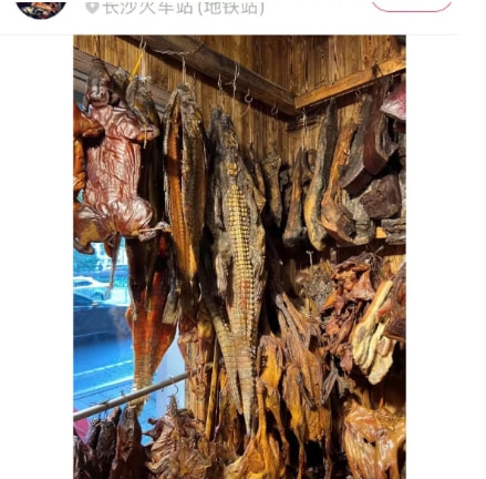 轻松一刻:急急急!男人的噩梦出现了!! 轻松一刻:急急急!男人的噩梦出现了!!