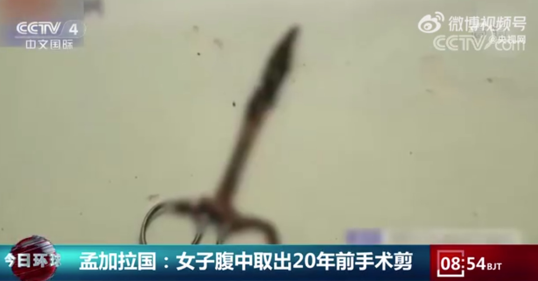 轻松一刻:急急急!男人的噩梦出现了!! 轻松一刻:急急急!男人的噩梦出现了!!